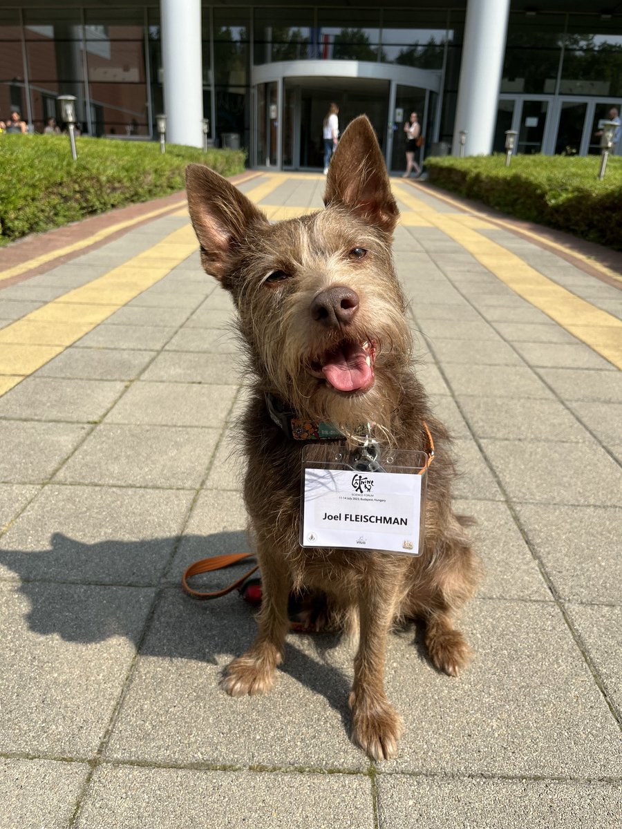 Hello Everybody! 👋

We were busy with the organization, sorry for the lack of social presence. We are happy you are here and hope that you're all enjoying the conference so far, just like Joel 🐶🤓  #CSF2023