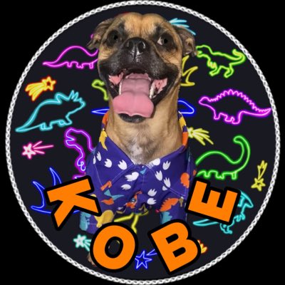 kobethejug's tweet photo. #NewProfilePic https://t.co/nN2MuhsPe0
