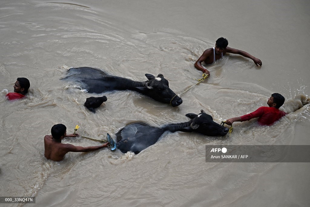 AFP Photo tweet media