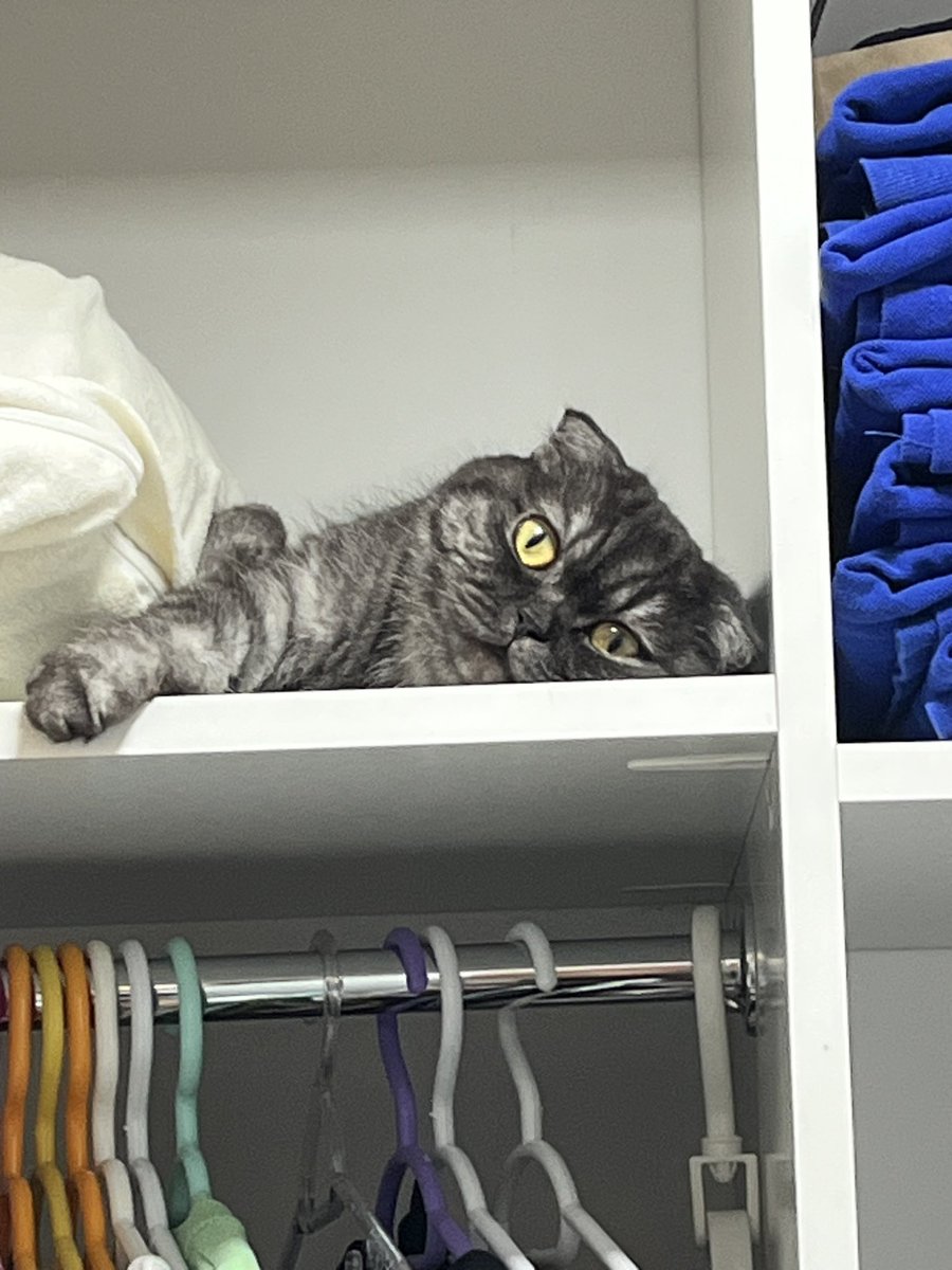 Edward (@XDiffer) / X