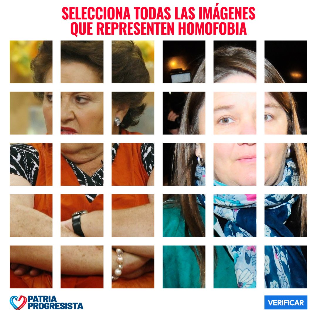 progresistas_cl's tweet photo. No hay lugar para la intolerancia en el verdadero amor por la patria ❤️💙 https://t.co/1hyL0li3wF