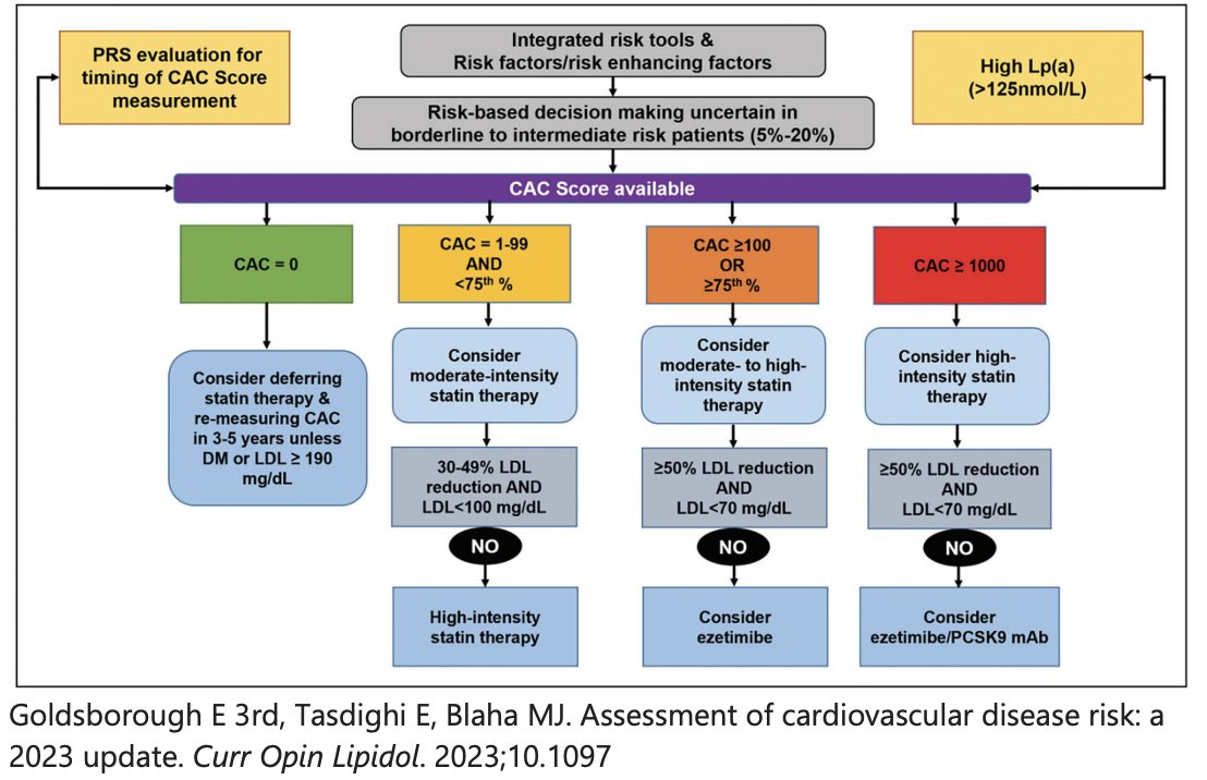 We now have added tools beyond the traditional ASCVD 10-year risk estimator to guide statin therapy 💊

🔹Coronary artery calcium score is a cheap, quick test that can help further risk stratify whether added lipid lowering therapy is needed in those uncertain cases