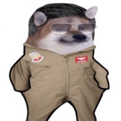 Adam Kinzinger #fella on Twitter: "#NewProfilePic"