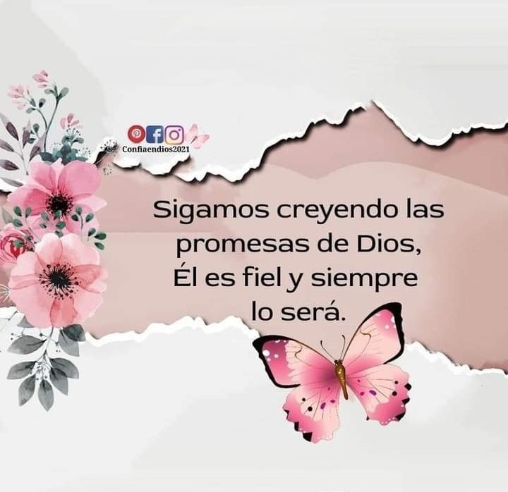 analauraoso65's tweet photo. https://t.co/ZLTAesGx0D
