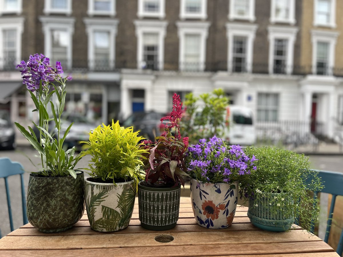 The Queens Primrose Hill tweet media