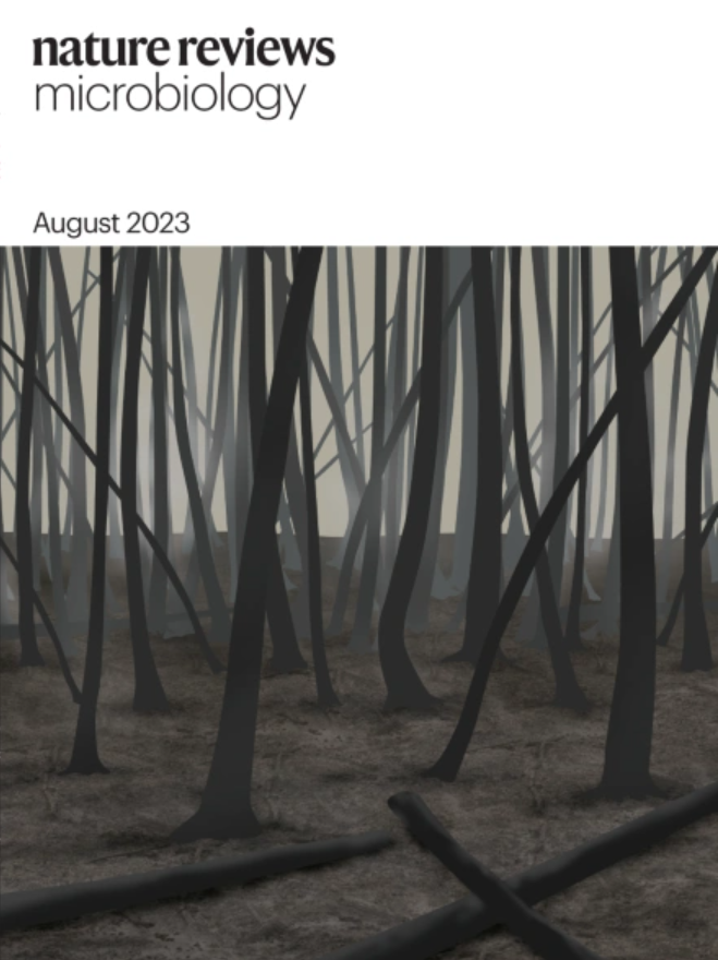 NatureRevMicro's tweet photo. 📢Our AUGUST issue is now LIVE🙌

Read it here: https://t.co/3ojBcx8ijh

The cover is inspired by the Review by Petr Baldrian and colleagues 'Forest microbiome and global change' @baldrianp @Kohout_mycor @rlmondejar https://t.co/yDoWZB32Gg