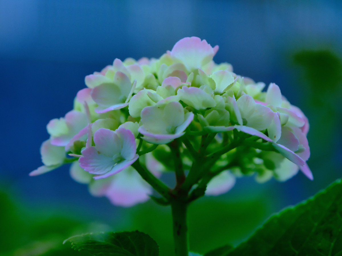 .

虚無というと思考は漠然たる不安を予想するかも知れませんがそれはイメージであって「あー本当になにもない」という体験の事実ではないですね

何もないなら苦悩さえ無いわけですから解放されているはず。無いとは”思考形式において無い＝相対的なものが無い”のならそれは絶対自由(空)かも知れない