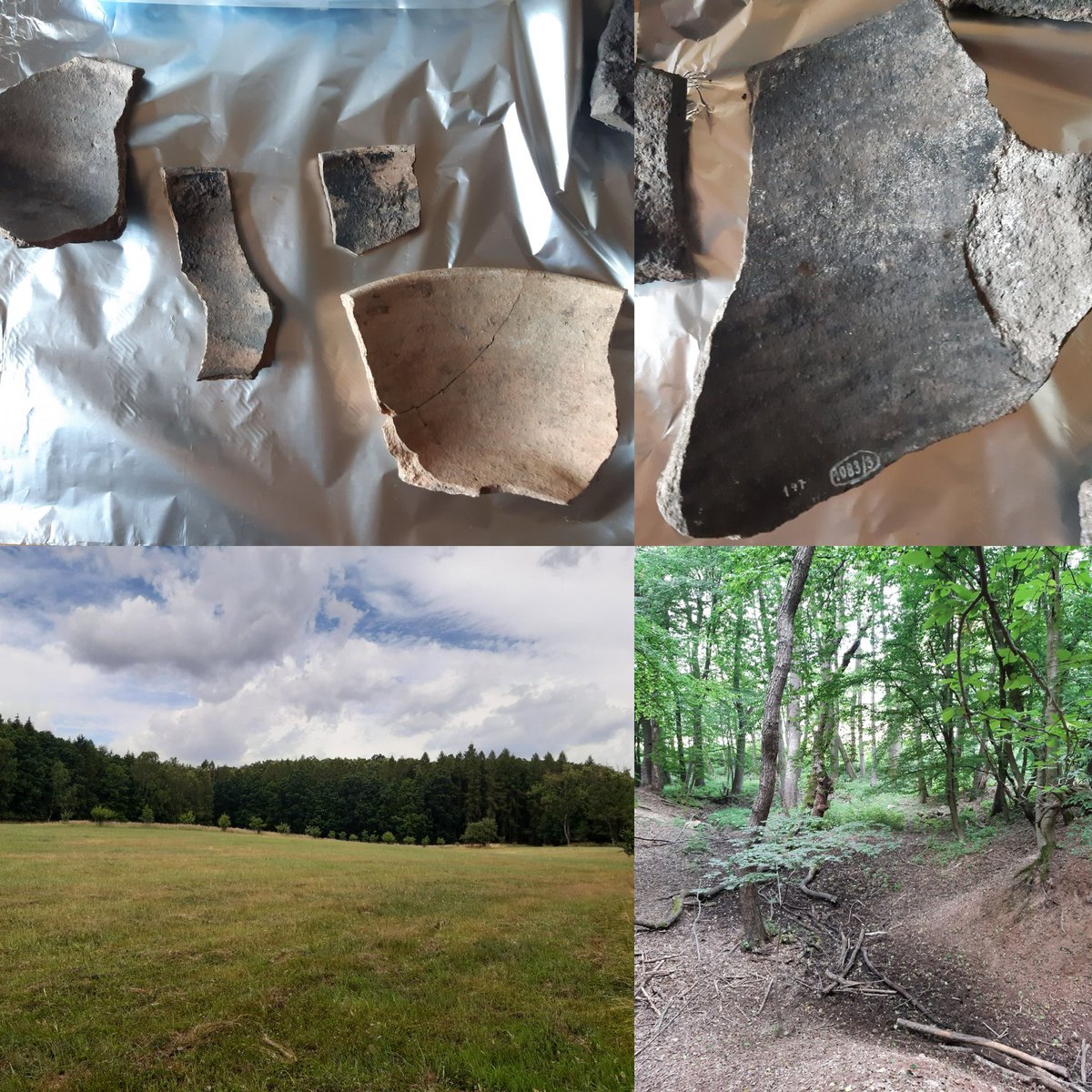 Let's explore some late medieval pottery used for collection and refinement of tar. The site itself, Krasna Dolina, is really krásná! (beautiful🙂) #organicresidues #pottery