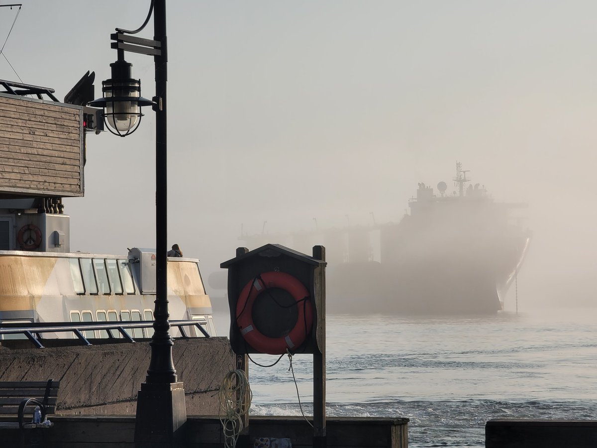 TimAGPhotos's tweet image. Good morning #Halifax