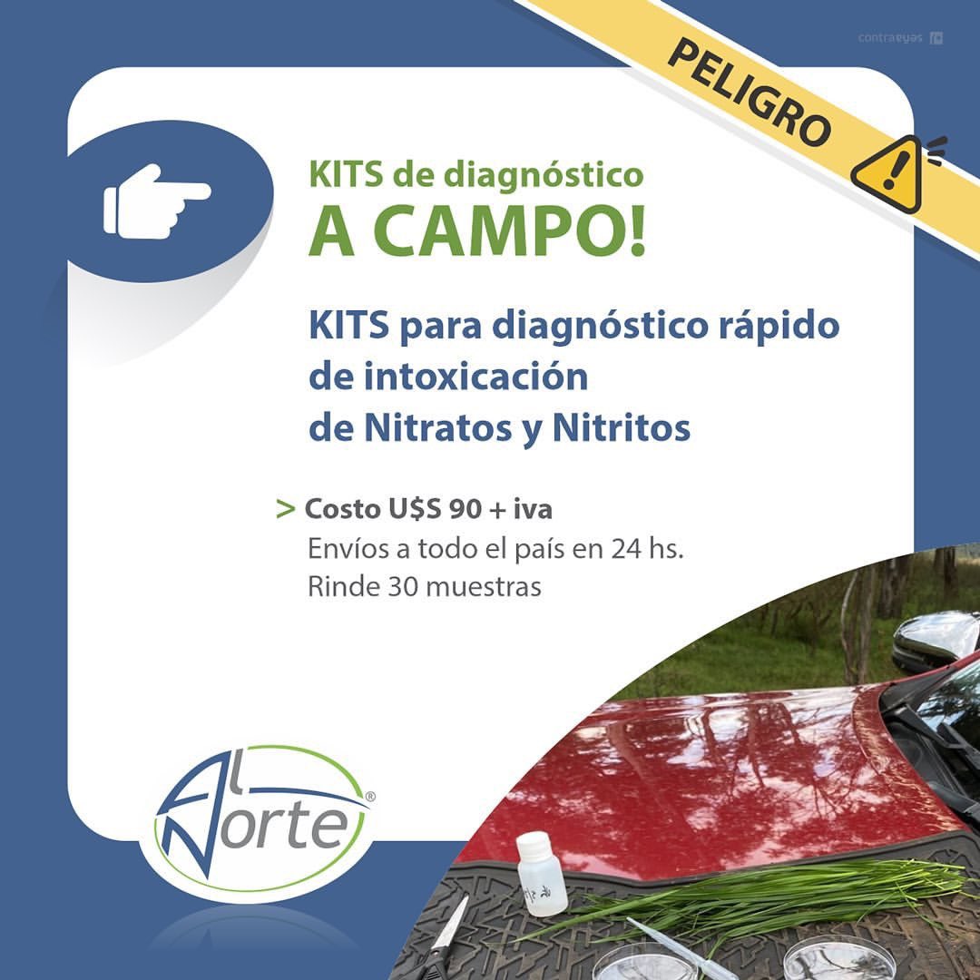 Al_Norte_Lab's tweet photo. 🧫🧪Continuamos enviando kits para el diagnóstico de intoxicaciones de Nitratos y Nitritos a campo. 

💲Costo 90 usd + iva
✔️Rinde 30 muestras
📦Enviamos a todo el país en 24 hs!

Consultas 📲091 034500

🇺🇾Al Norte Laboratorio análisis rápidos y confiables! https://t.co/zo2f2vL7e5