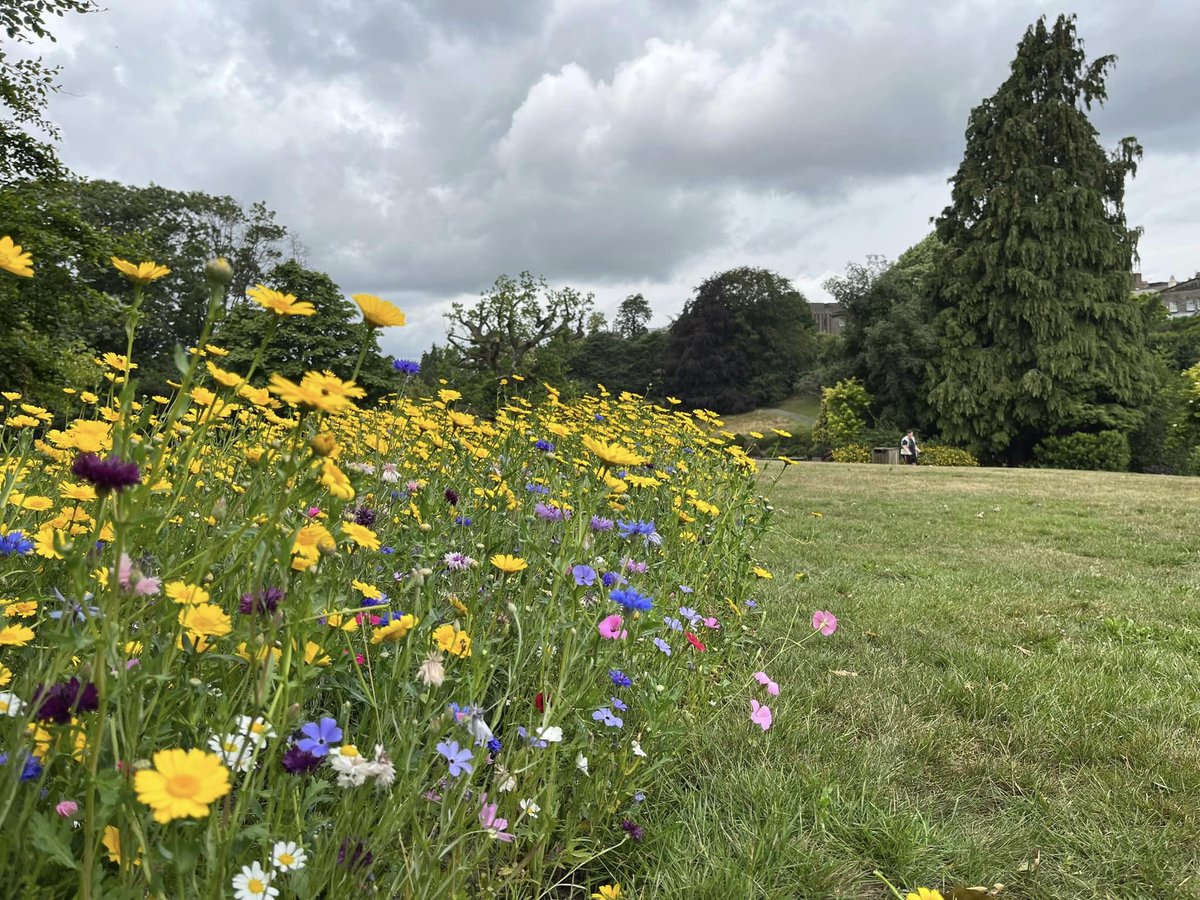 RTW in Bloom tweet media