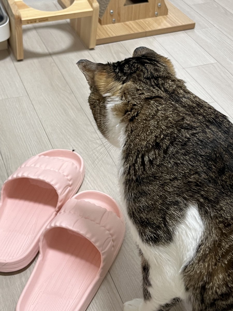 오뜨 tweet media