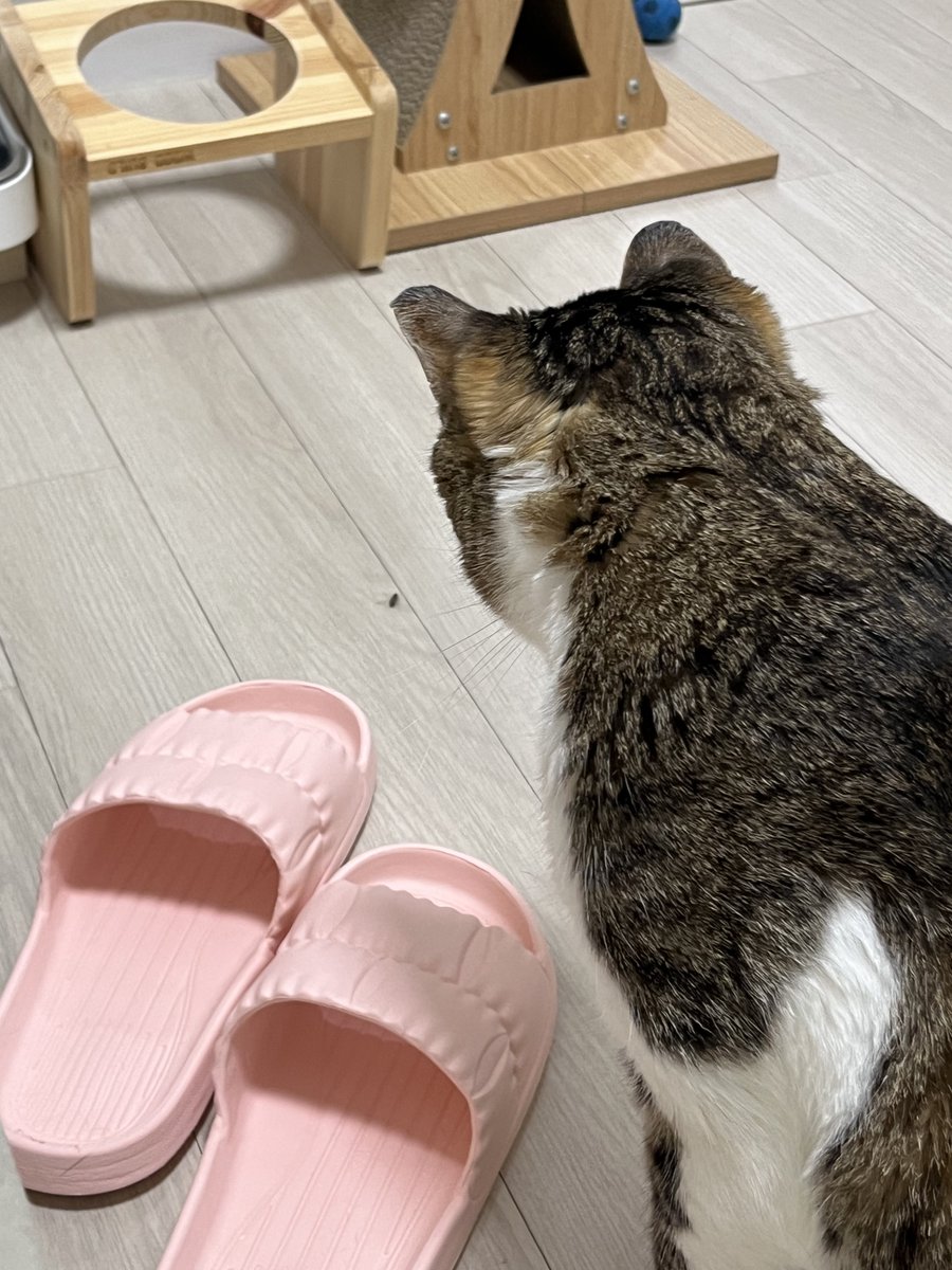 얘 왜 보고만 있냐..? 잡아조...