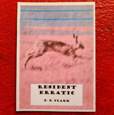 I finally get 'Resident Erratic', my micro-chap, in @GhostCityPress Summer Series, and no one's here to see it 😱😭🤦‍♀️ it's free to download here: ghostcitypress.com/2023-summer-se…
#prosepoetry #sealeychallenge
