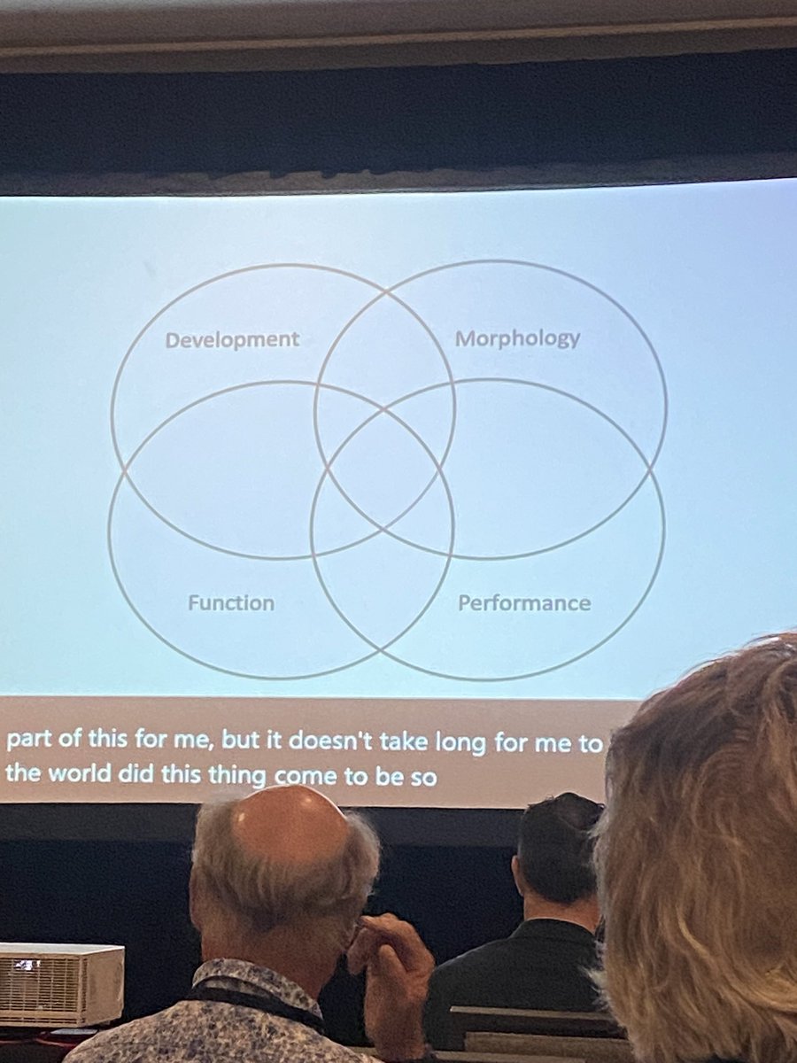 We are very lucky to get @LPHernandezGW as the opening <a href="/IchsAndHerps/">ASIH</a> plenary speaker. She is talking about morphological novelty in Cypriniformes particularly in zebrafish #JMIH23