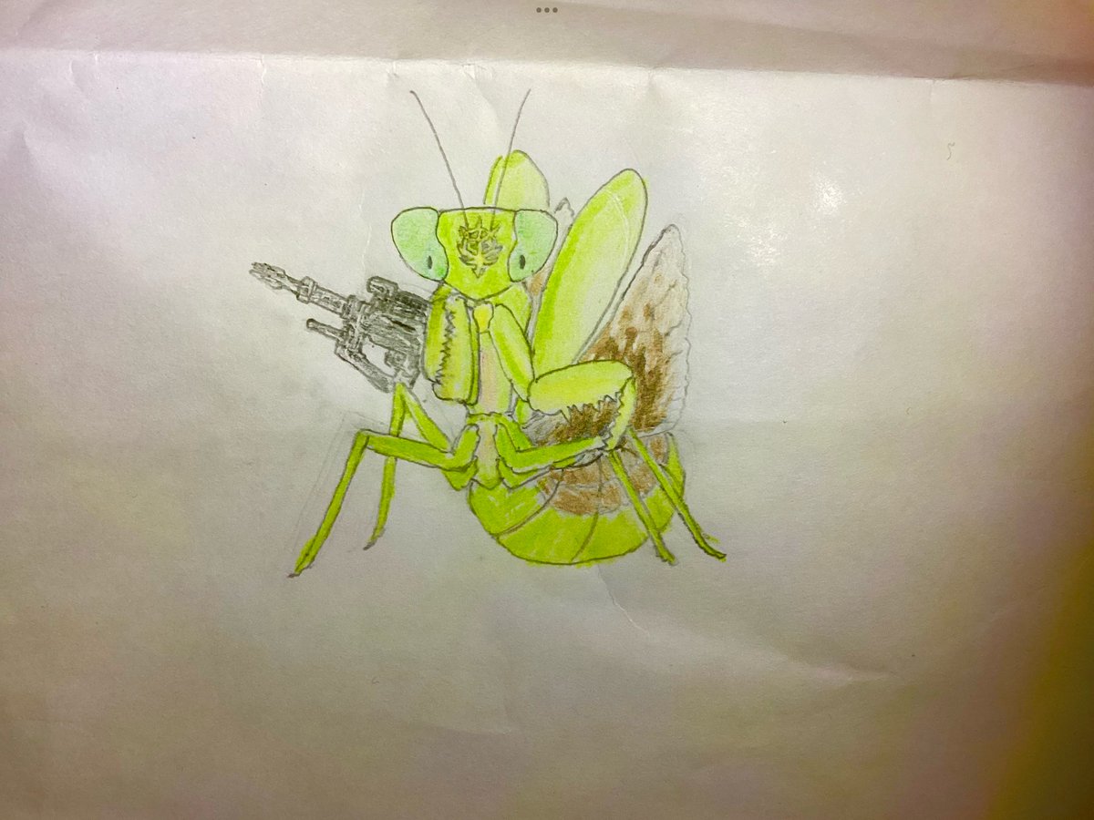 サイド3の大蟷螂 (@saido3_kamakiri) / Posts / X