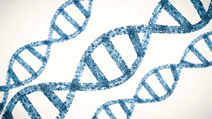 People who participate in genetic studies are genetically more likely to do so, a ground-breaking collaborative study between the BDI and @OxfordDemSci found, after analysing genetic data of over 30,000 related participants.🧬 Read more 👉bit.ly/3DaNzub @NatureGenet