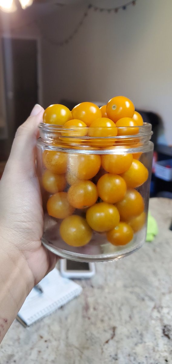I uh... may have to many cherry tomatoes... and I know there are more on the vine.