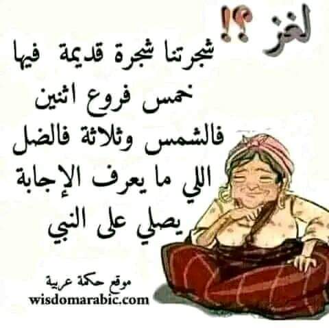 MahaOynat's tweet photo. @Mohamed41341333 https://t.co/nlvuPi41oQ