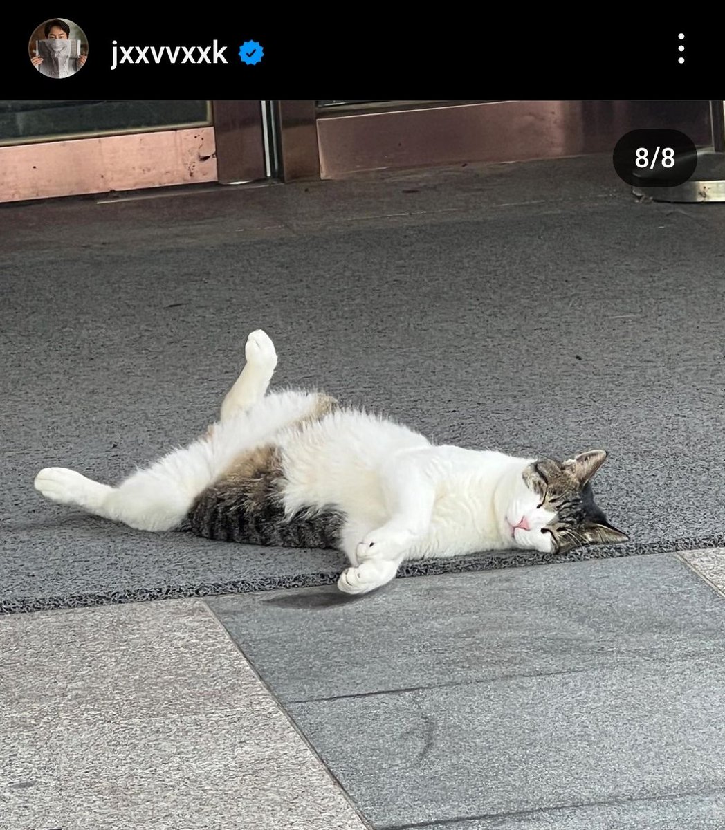 hoshiemay's tweet image. it still cute how jang uk #leejaewook summarizes the last episode of #alchemyofsoulslightandshadow in one ig post.

started with a photo of uk, yeong &amp;amp; master lee pertaining to the wedding scene and ending it with a photo of a cat which symbolizes the relic they are abt to catch.