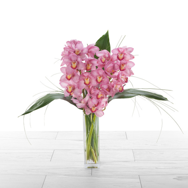 Flower Farm Shop tweet media