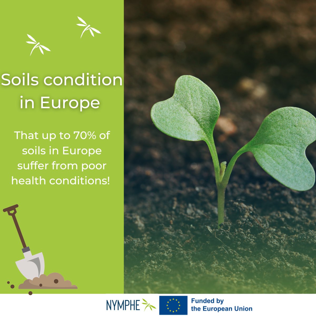 That up to 70% of soils in Europe suffer from poor health conditions 🌿🍀 This significant finding has been highlighted in the special report published by the European Court of Auditors. More information about report: lnkd.in/dnPu5CX9