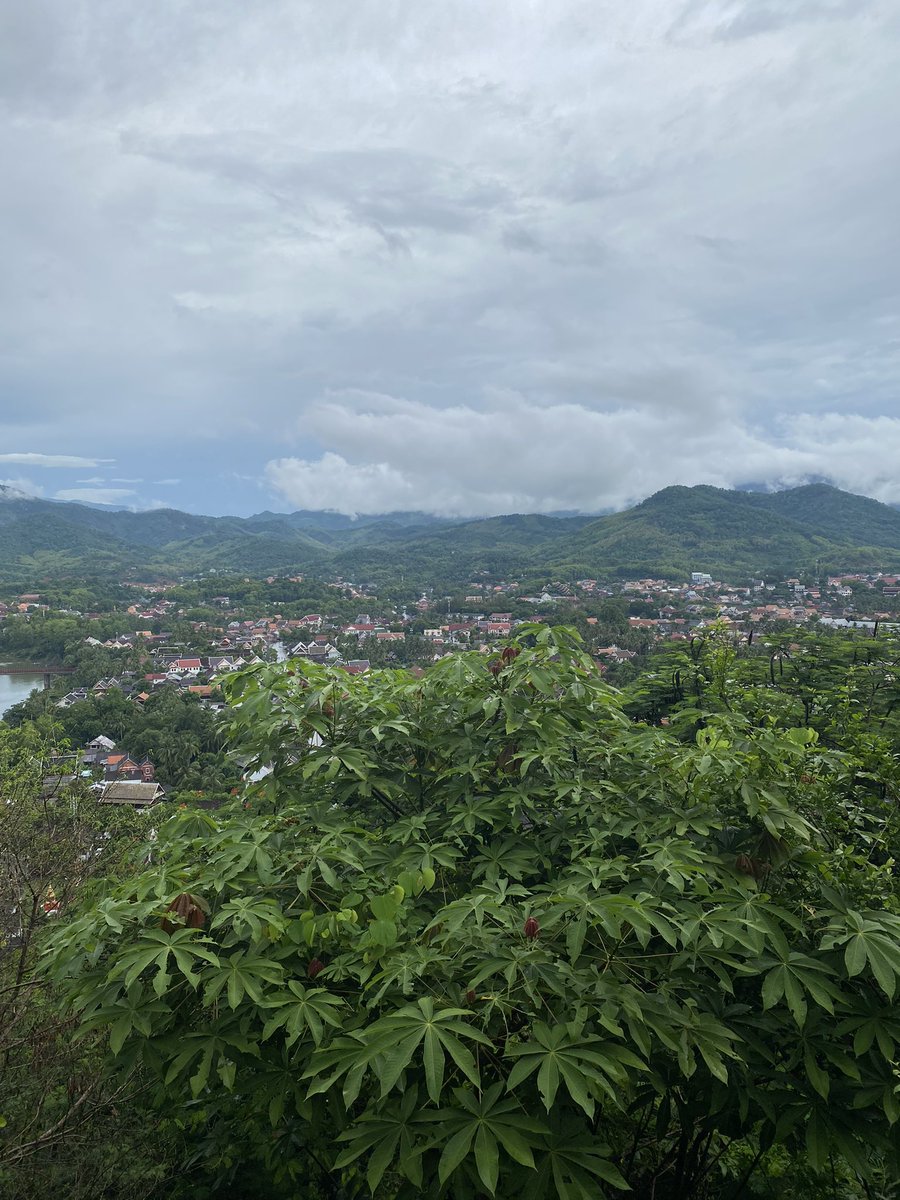 Chan_Roeurt's tweet photo. Luang Prabang, Lao! https://t.co/FggwTUqSaq