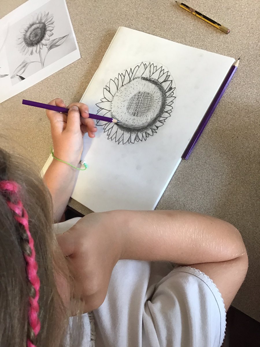 We started our still life artwork on Tuesday🌻 experimenting with sketching pencils and different shading techniques <a href="/WilthorpePS/">Wilthorpe Primary</a> #WilthorpePSArt