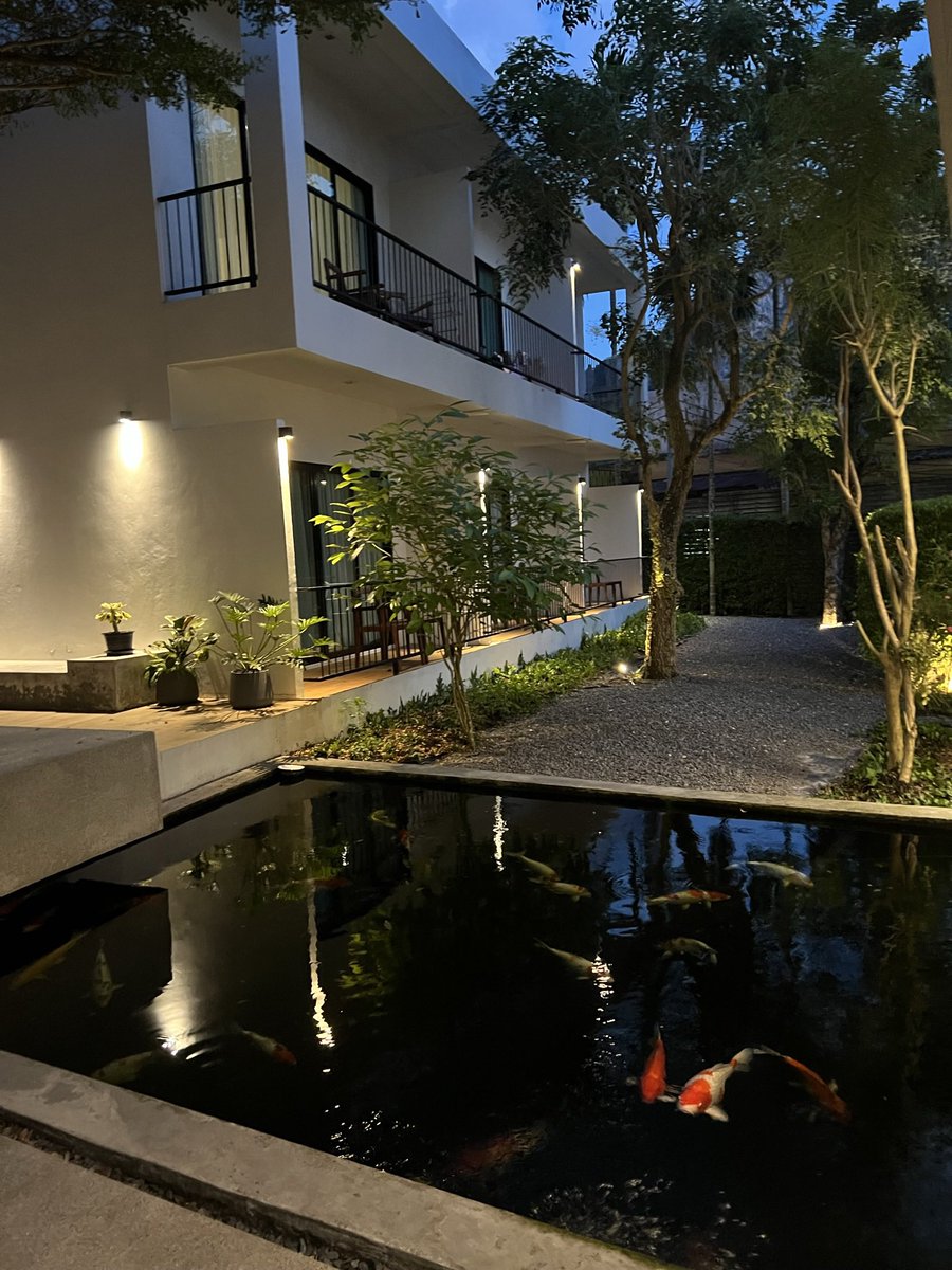 1Line1Box's tweet image. 2 years since I went ghost and life done +1000R. Became a full time trader, travelled around, got my dream car and moved out. 

Best advice for traders is to be DELUSIONAL OPTIMISTIC in yourself 

Believing you have something before you even have it is a skill within itself