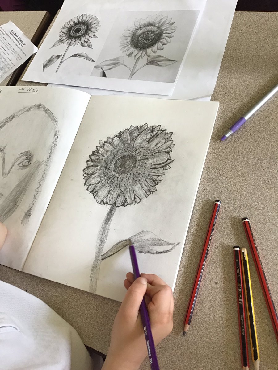 Day 2 of our still life artwork 🌻🤩 they are all looking amazing! We’re taking our time to make sure we’ve added the finer details of the flower <a href="/WilthorpePS/">Wilthorpe Primary</a> #WilthorpePSArt