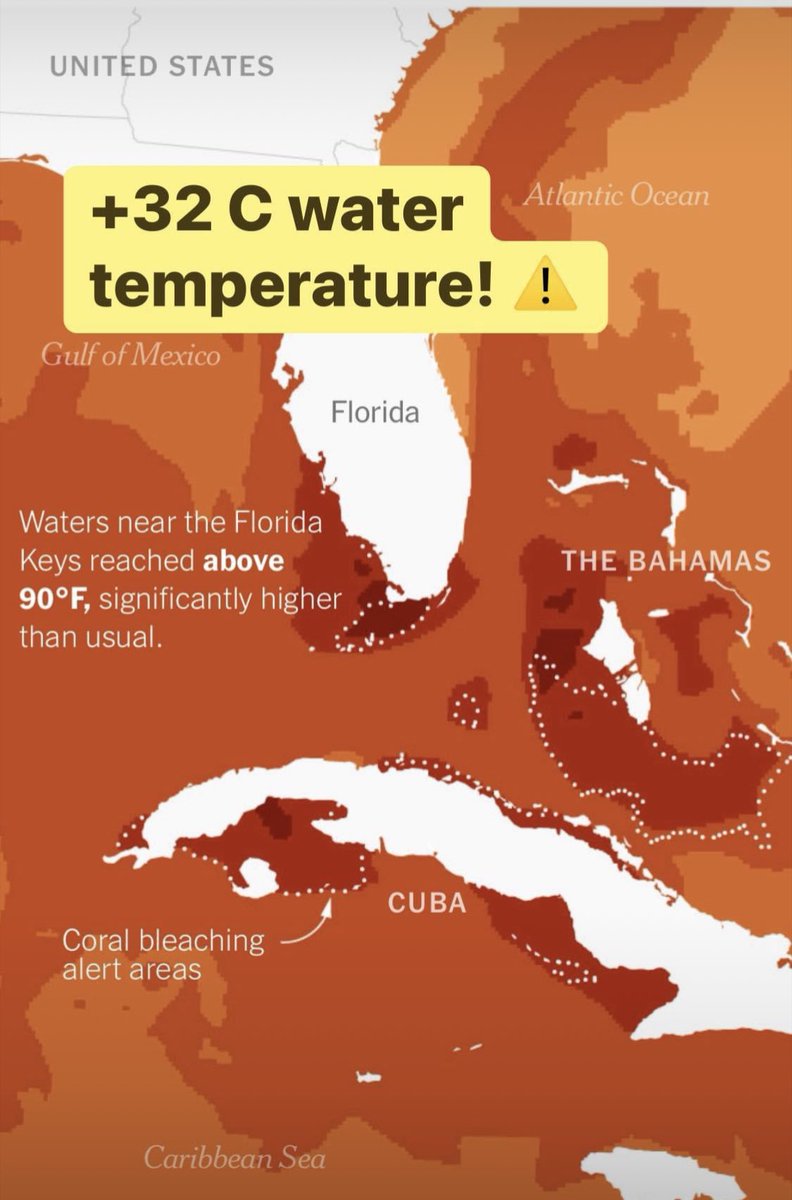 +32C (90F) ⚠️ sea surface temperature near Florida Keys! ⚠️ #wedonthavetime