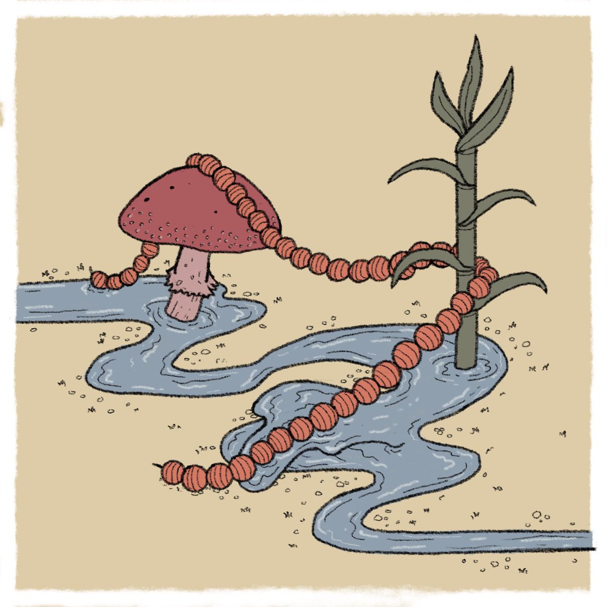 Jorge Antonio Losoya tweet media