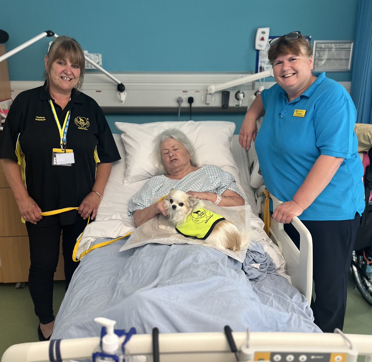 RJAH_NHS's tweet photo. We are delighted to welcome therapy dogs back to support patients who are at RJAH for a prolonged period of time 🐾

Raphie the Chihuahua, who is a temperament-assessed therapy dog, provides a much-needed boost for patients 👏

You can read more here: https://t.co/KnbNKj8fxF https://t.co/sPiL0wlchr