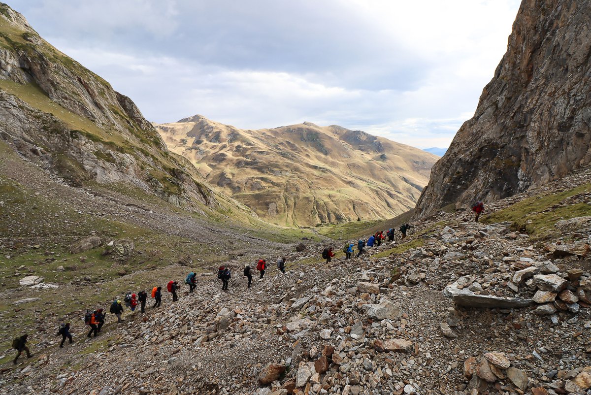 Human Adaptation Institute tweet media