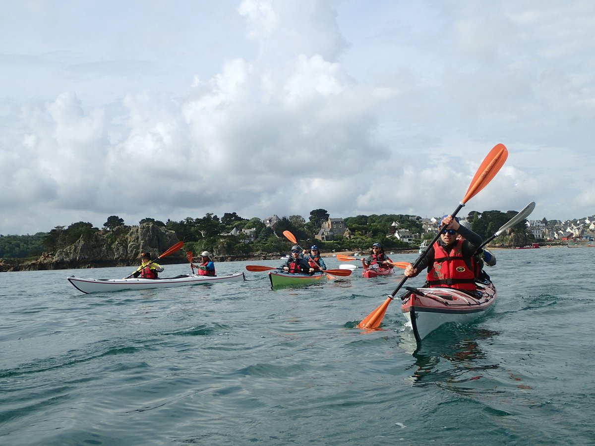 Human Adaptation Institute tweet media