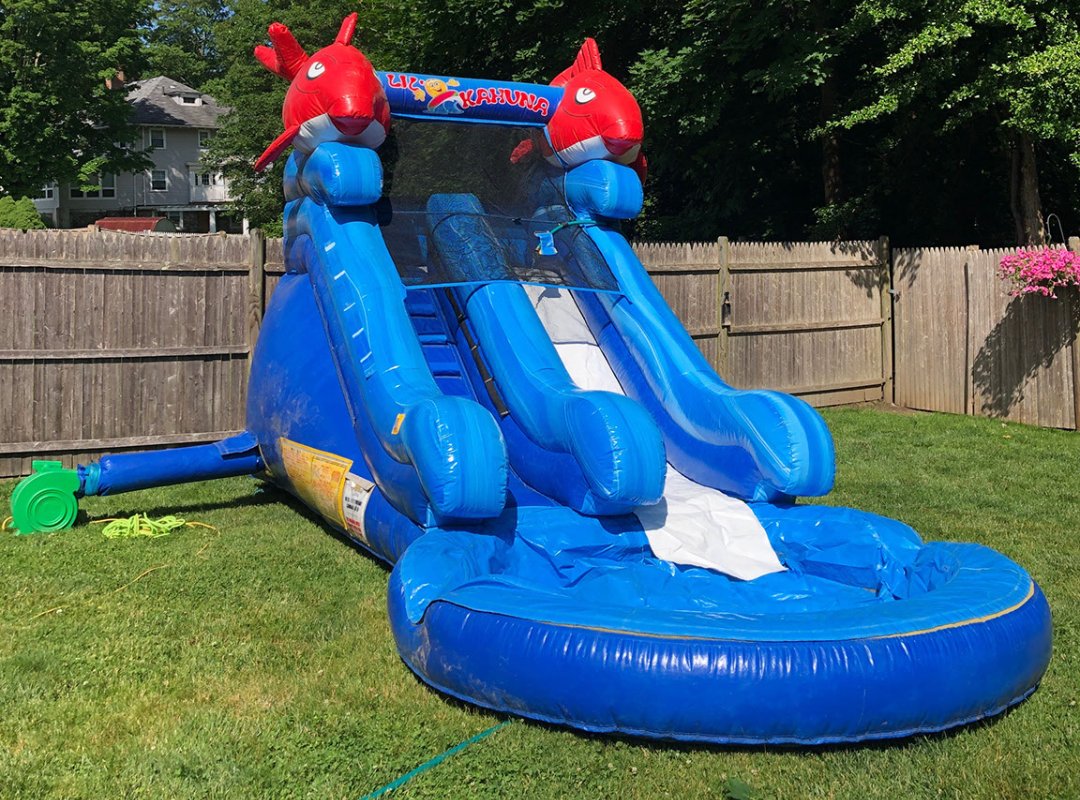 BusyBeeJumpers's tweet photo. 💦Want to make a BIG Splash?💦 - https://t.co/TSXpthW3a6 https://t.co/JRyEfTEi0R