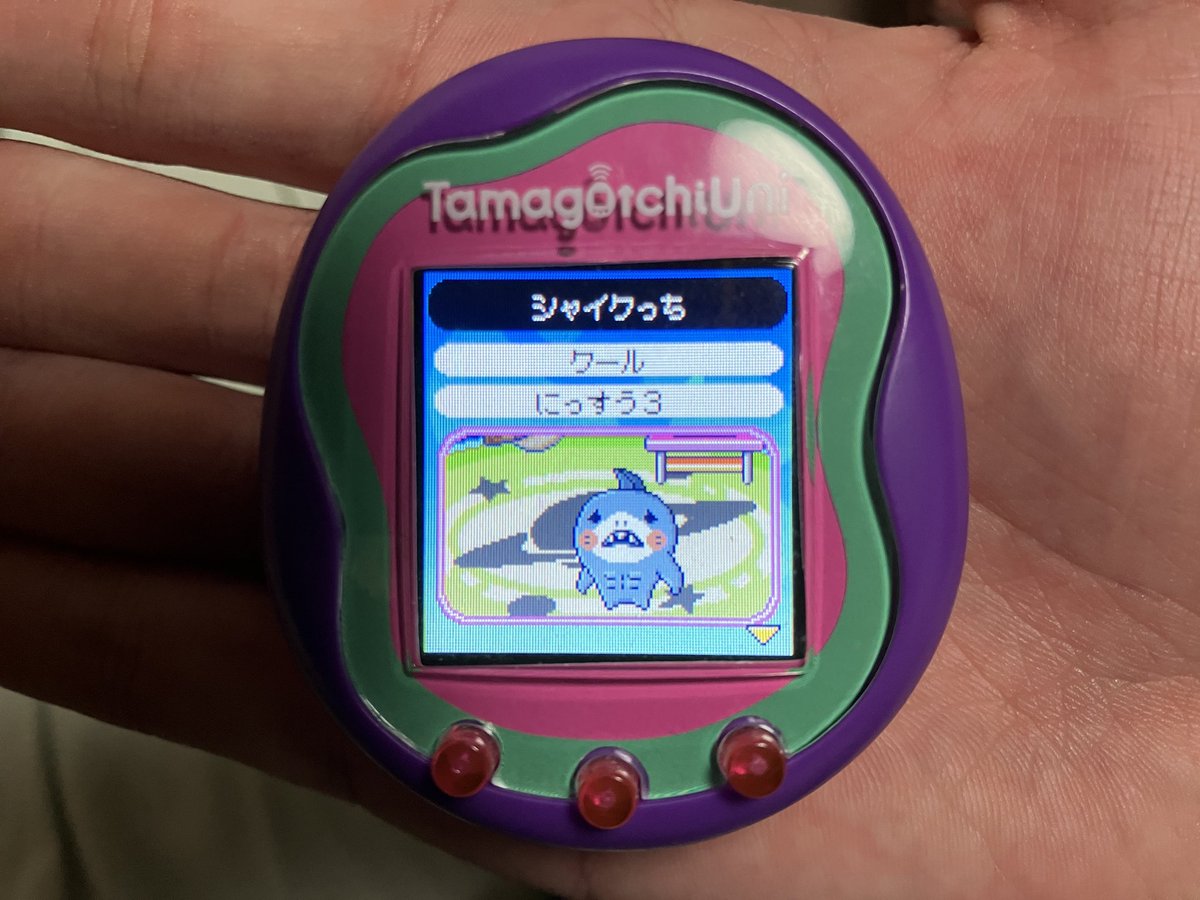 シャイクっちになったぜ