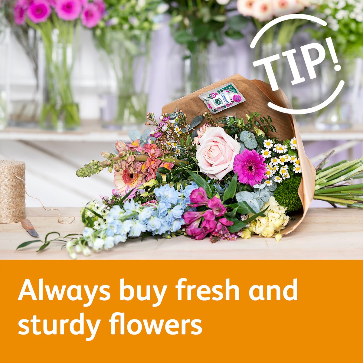 Chrysal Flower Food tweet media