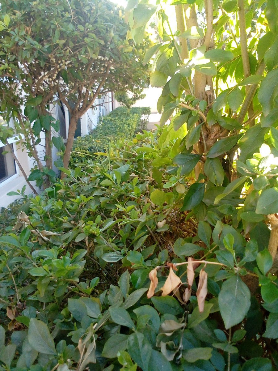 Just another day at work