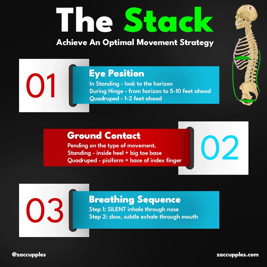 ZCupples's tweet photo. The stack is 3 things:
👀 Eyes - Expands upper airway by influencing spine position
🏃♂️ Ground contact - How to put force into the ground. This rotates us in one direction.
🫁 Breathing - Changes body shape. Allows rotation in the opposing direction #relativemotion https://t.co/mh20Orn34A