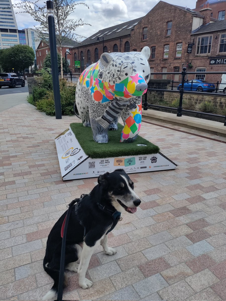 So far we found 5 bears!!! 🎉

Human says we doing all the strays first, then we can head over to the centre where they're closer together.🐾

#leedsbearhunt