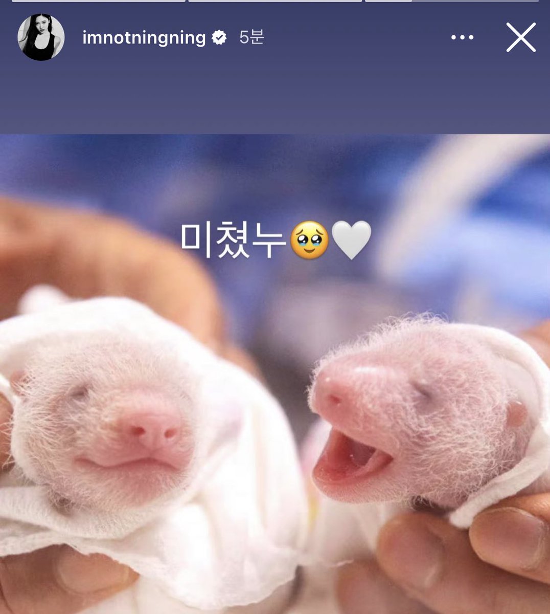 Ningbutter's tweet photo. 너무...............
엠지다 https://t.co/LAHqKSTIjA