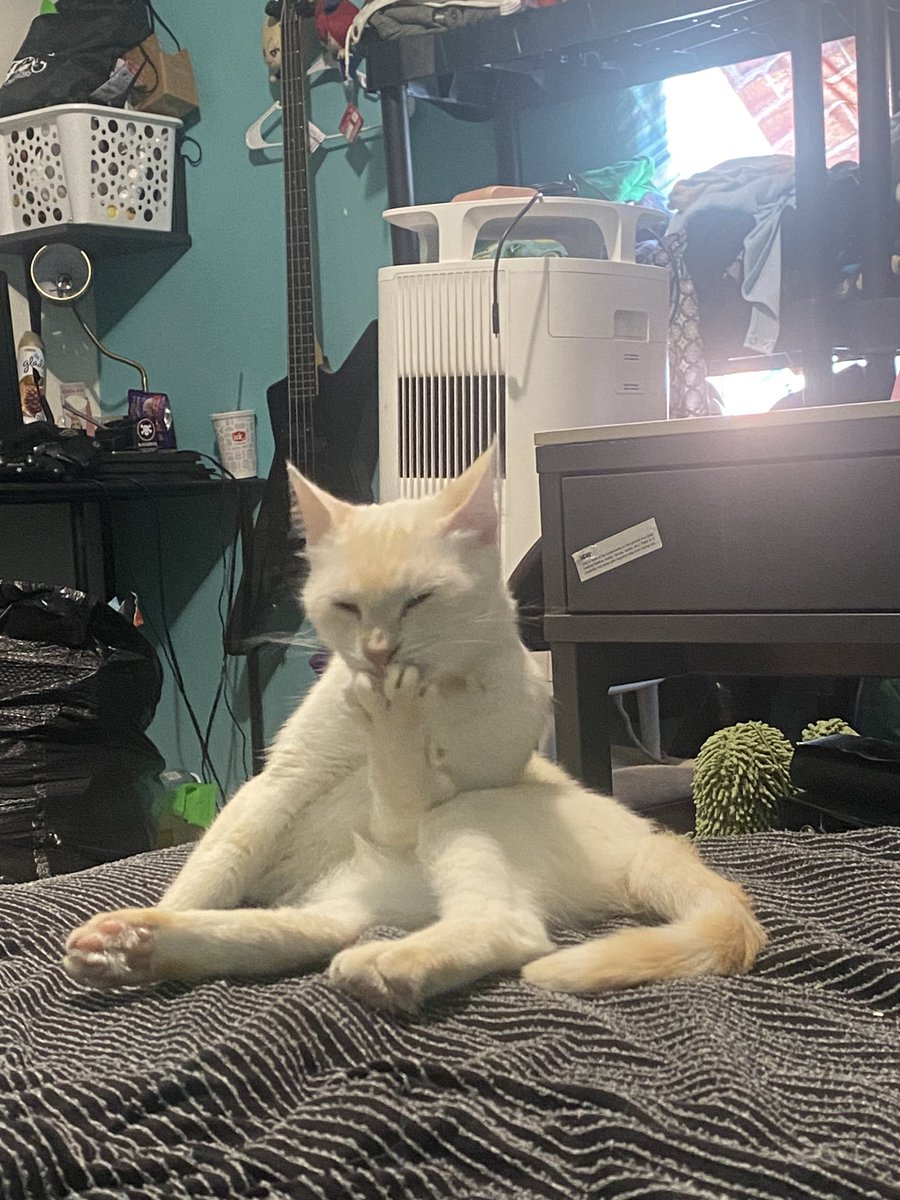 “did I lock the fucking door before I left”