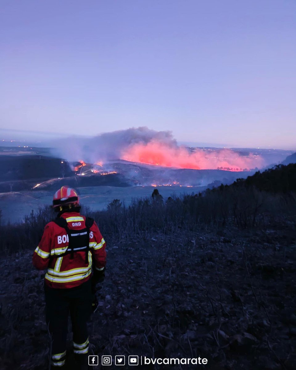 BVCamarate's tweet image. Compromisso inabalável, determinação e paixão pela proteção da vida e da natureza. ❤️🌳 #NósEstamosCá #Espinheira #Cadaval