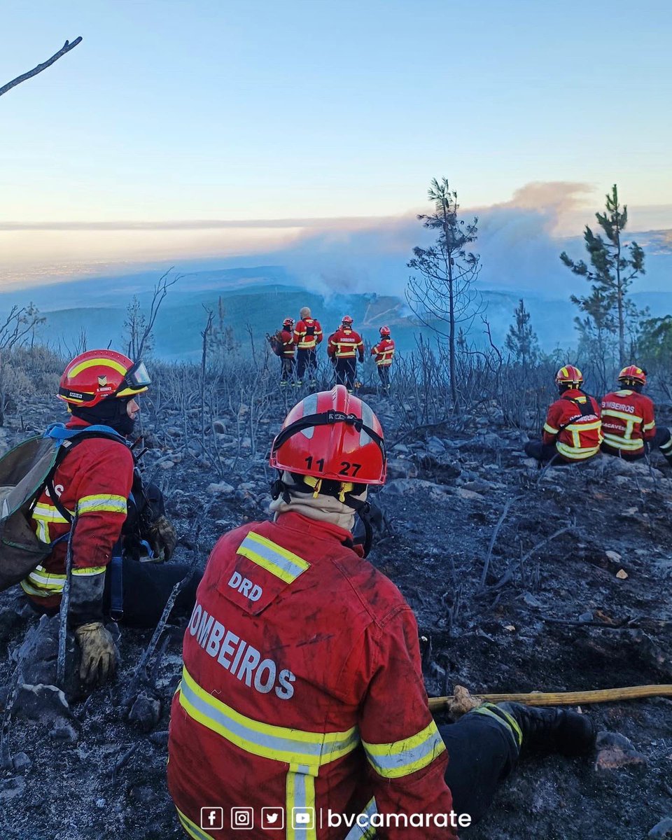 BVCamarate's tweet image. Compromisso inabalável, determinação e paixão pela proteção da vida e da natureza. ❤️🌳 #NósEstamosCá #Espinheira #Cadaval