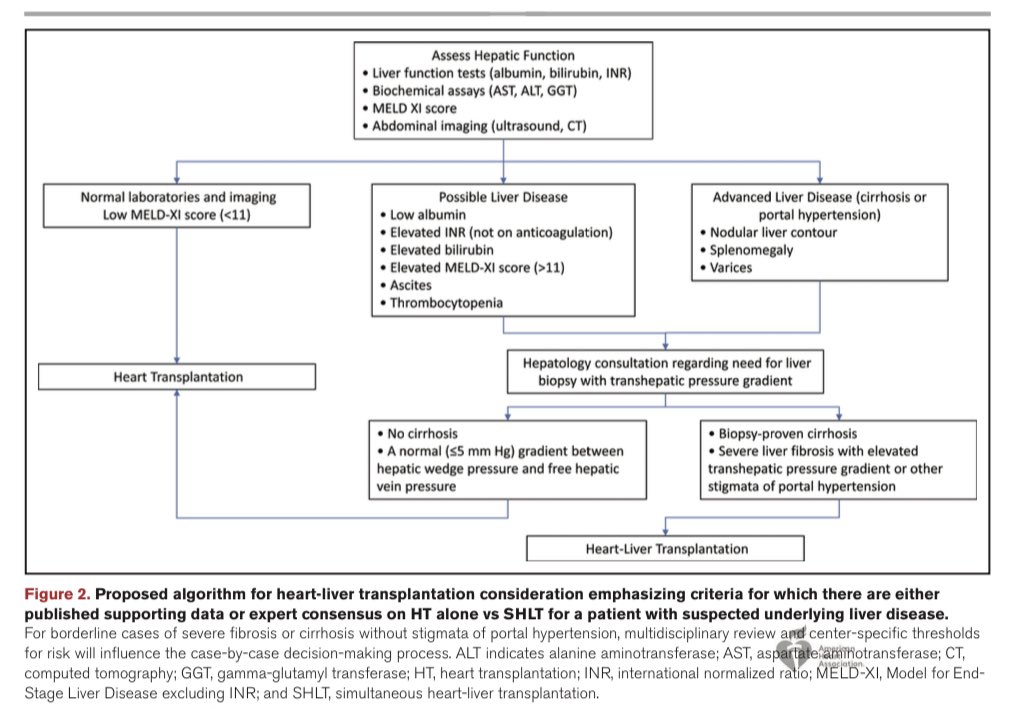 Online @CircAHA today! @AHAScience Scientific Statement on Dual Organ Transplantation:  Indications, Evaluation, and Outcomes for Heart-Kidney and Heart-Liver Tx.  An honor to lead this with @MKIttlesonMD and amazing team @_adevore @ShannonMDunlay @DTPham_CVSurg @mcolvin89