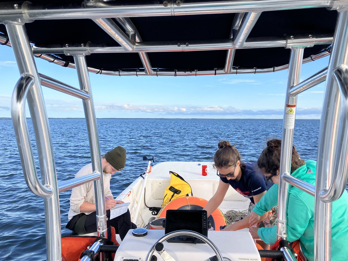 Sophia Hoffman tweet media