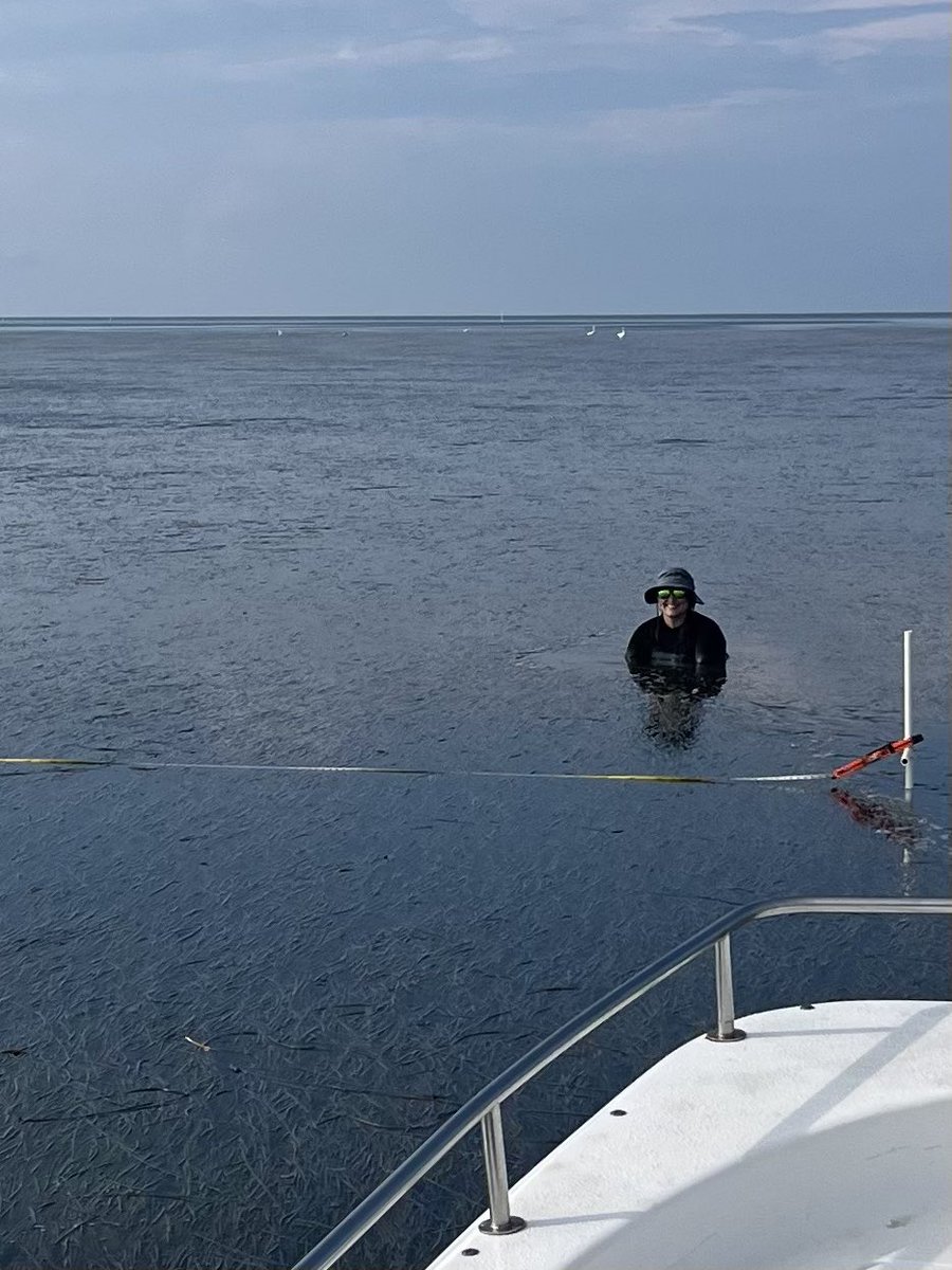 Sophia Hoffman tweet media