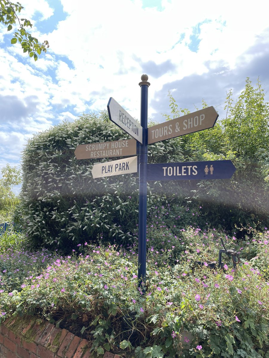 Amy Guest tweet media