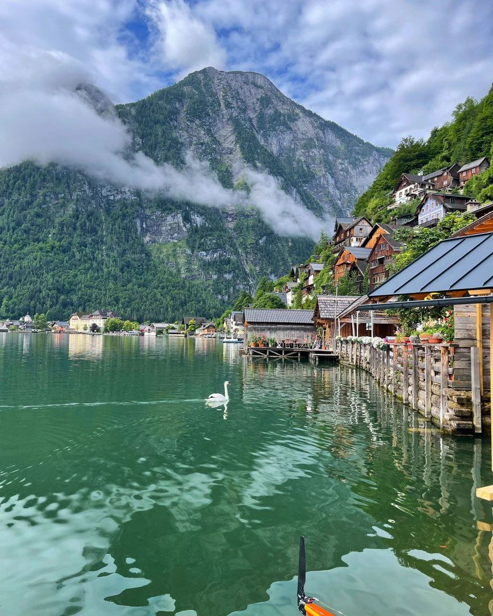 julie_kiddes's tweet photo. "A view of the city of Hallstatt in Austria" 🇦🇺 🦢🍃

#NatureBeauty 
#NaturePhotography
#LOVERED 
#austriangrand https://t.co/vVNWscCgdj